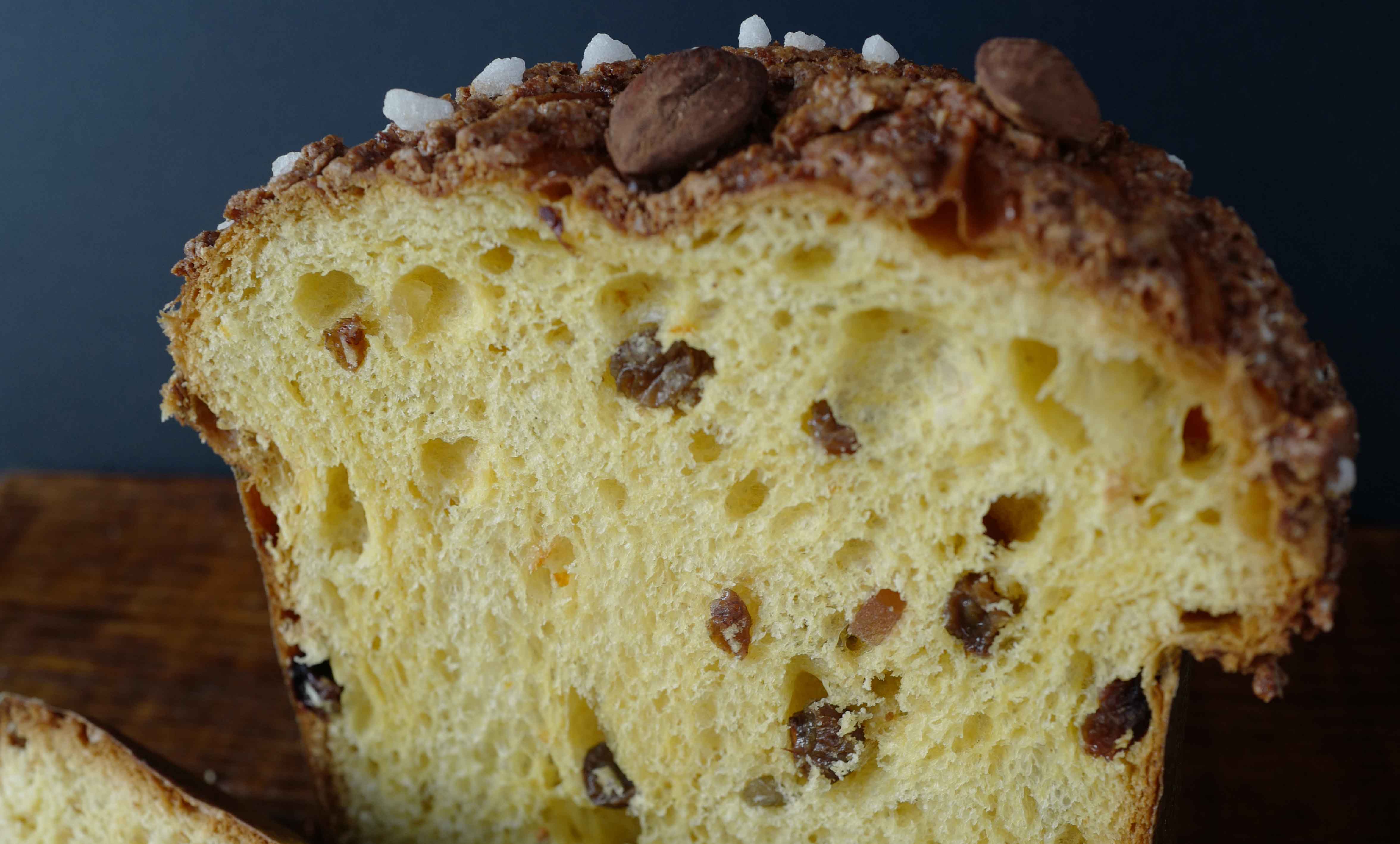 Panettone